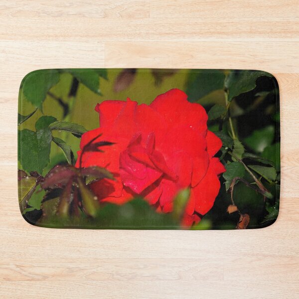 Item preview, Peeking of Brillant Korsar designed and sold by Jouko Lehto Photography.
