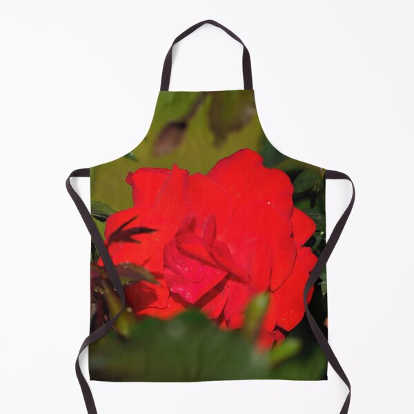 Item preview, Peeking of Brillant Korsar designed and sold by Jouko Lehto Photography.
