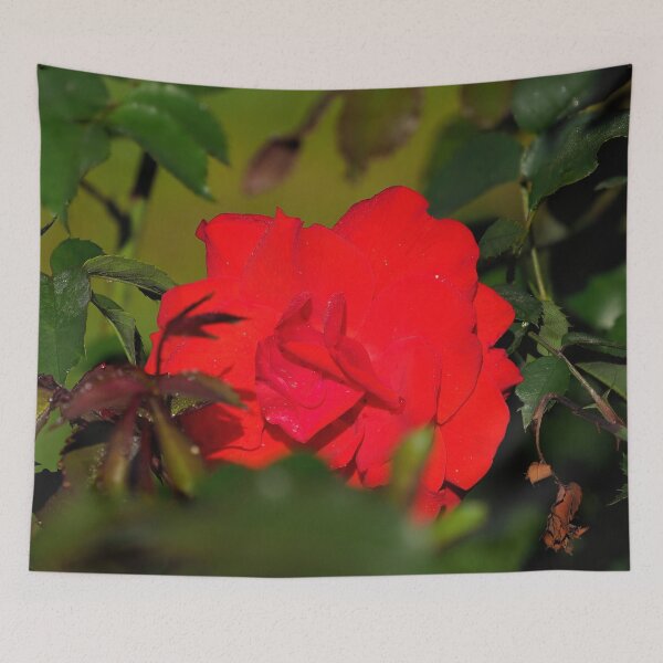 Item preview, Peeking of Brillant Korsar designed and sold by Jouko Lehto Photography.