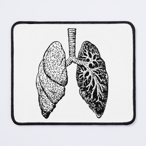 Item preview, Anatomy of the Lungs designed and sold by Medisigne.