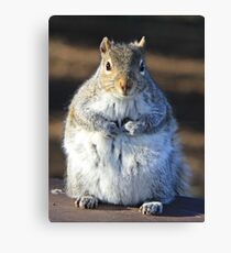 I'm not fat I'm insulating for the winter Canvas Print