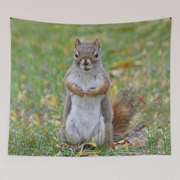Item preview, For me? designed and sold by locustgirl.