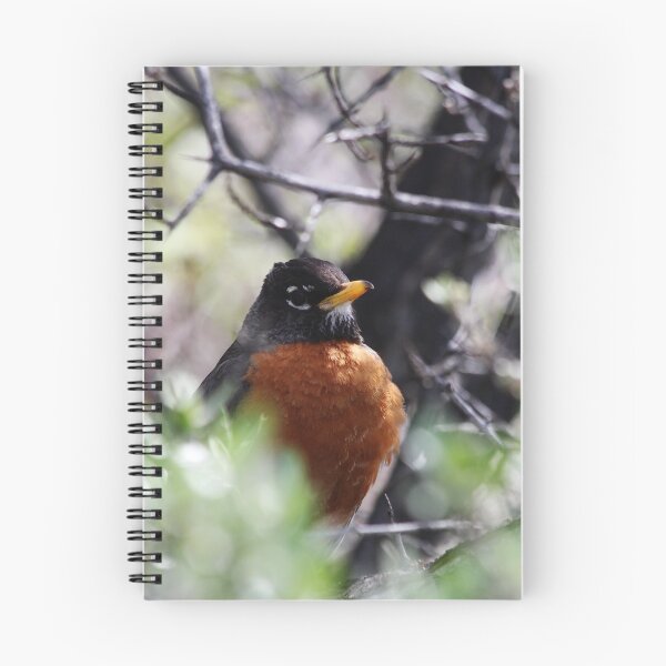 Item preview, Robin Red Breast designed and sold by Alyce Taylor.