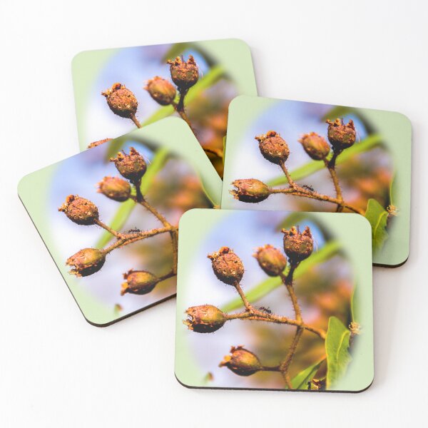 Item preview, Ant on gum nut  designed and sold by indiafrankk.