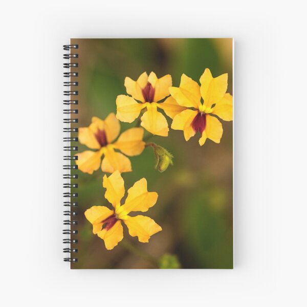 Item preview, Western Australian Velleia designed and sold by Life Images by Jill .