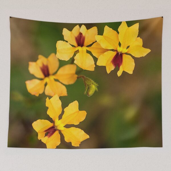 Item preview, Western Australian Velleia designed and sold by Life Images by Jill .
