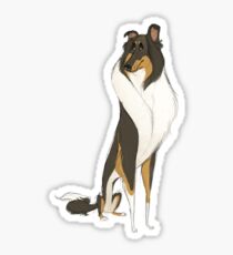 Collie Sticker