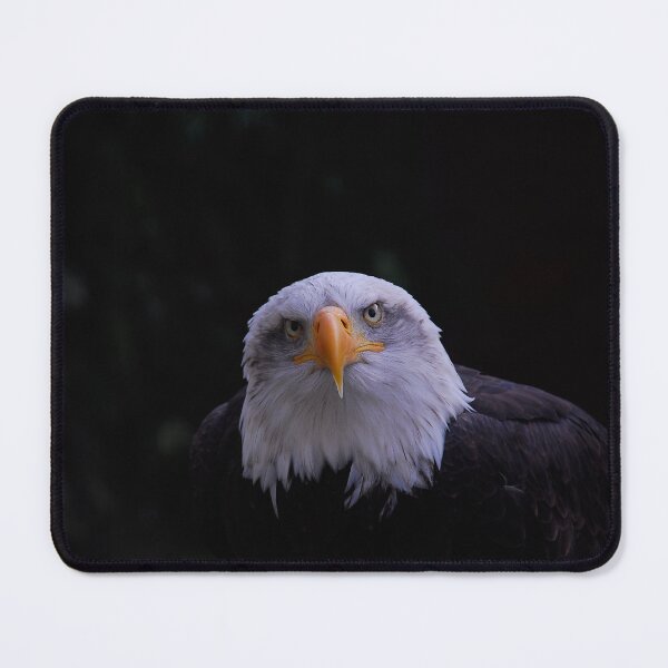 Item preview, Eagle eyed. designed and sold by sandyprints.