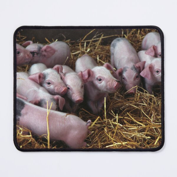 Item preview, Piglets in the barn. designed and sold by sandyprints.