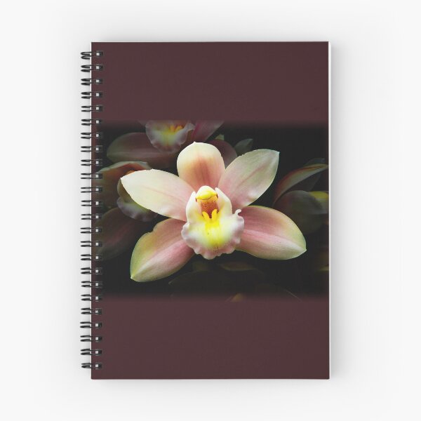 Item preview, Cymbidium orchid designed and sold by indiafrankk.