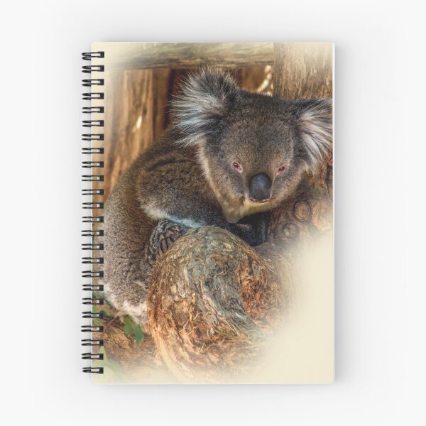Item preview, Koala designed and sold by indiafrankk.