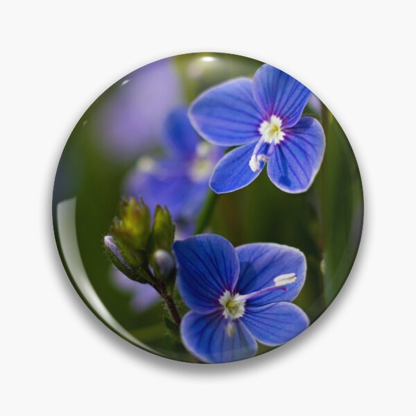 Item preview, Veronica flowers designed and sold by NynkeAltenburg.