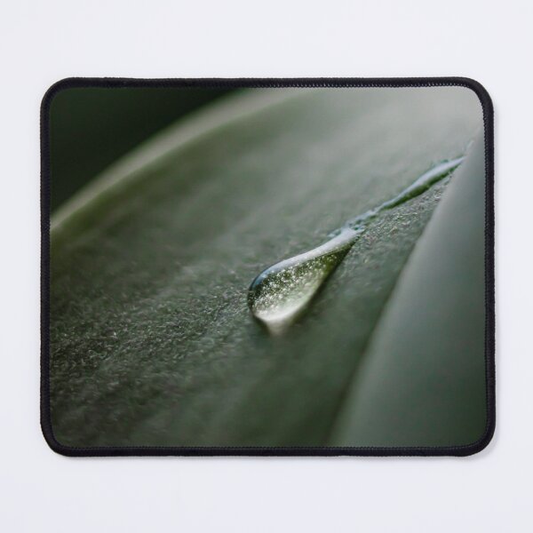 Item preview, Waterdrop on a leaf designed and sold by NynkeAltenburg.