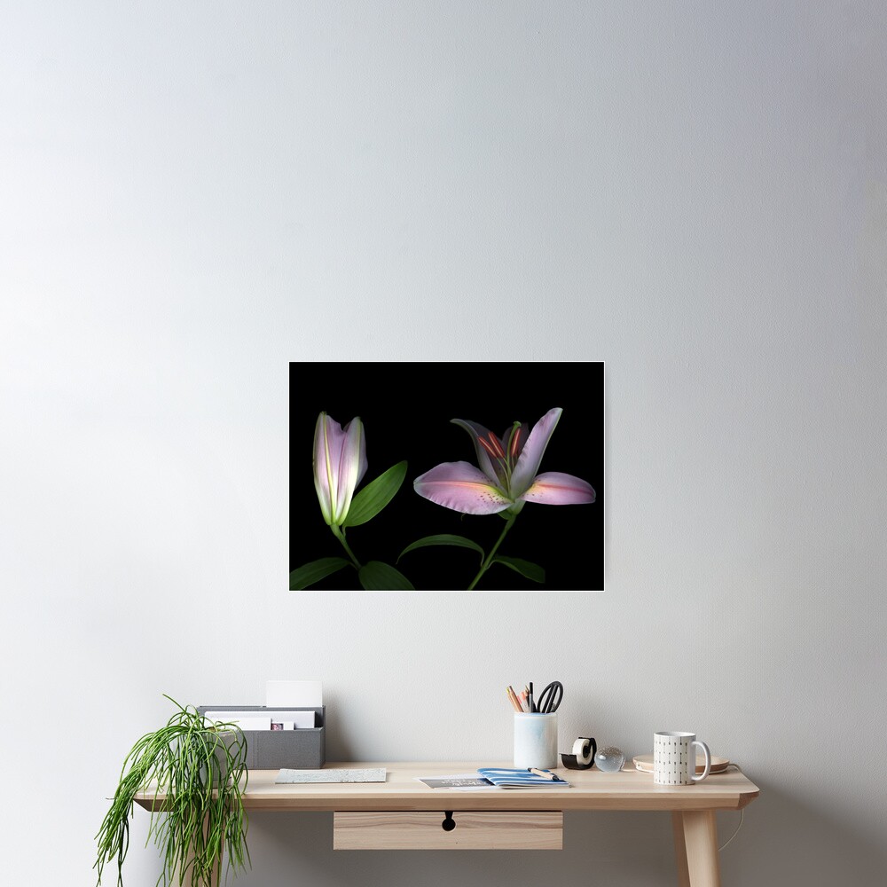 Item preview, Poster designed and sold by Scanart.
