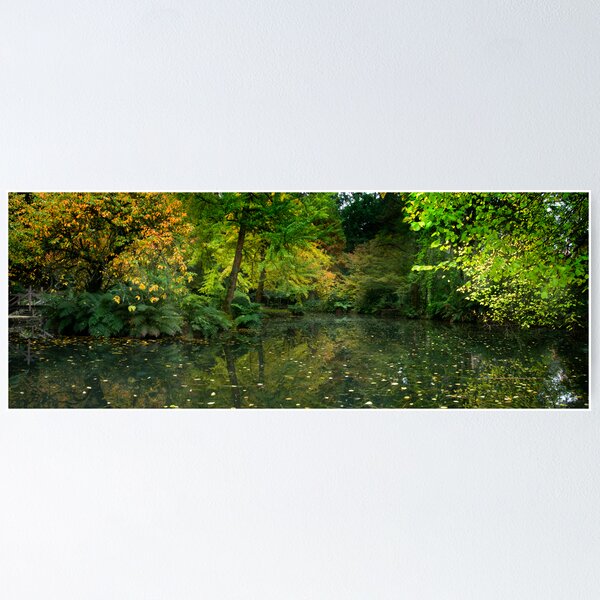 Item preview, Burnham Beeches designed and sold by Mark Higgins.