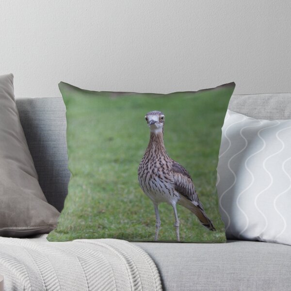 Item preview, Stone Curlew designed and sold by Withns.