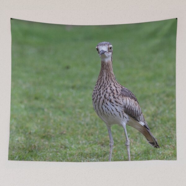 Item preview, Stone Curlew designed and sold by Withns.