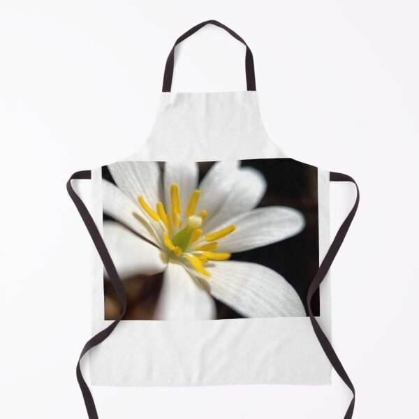 Item preview, White Windflower designed and sold by Jason Tompkins.