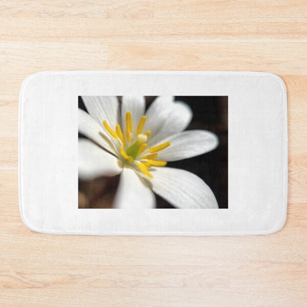 Item preview, White Windflower designed and sold by Jason Tompkins.