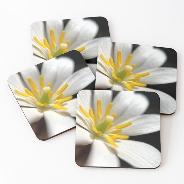 Item preview, White Windflower designed and sold by Jason Tompkins.