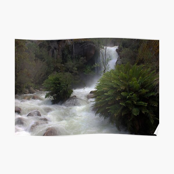 Ladies Bath Falls, Eurobin Creek Poster