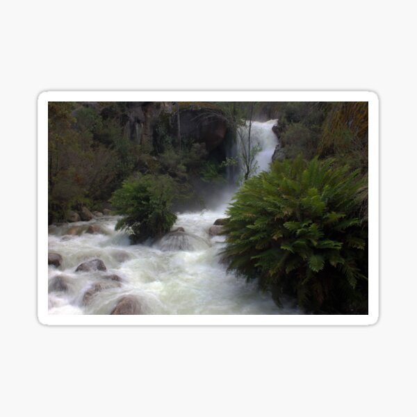 Item preview, Ladies Bath Falls, Eurobin Creek designed and sold by Charles Kosina.