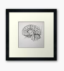 Brain Framed Print