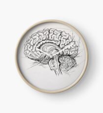 Brain Clock