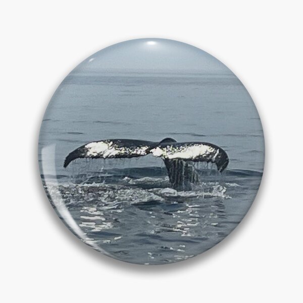 Item preview, Humpback whale designed and sold by bradleyduncan.