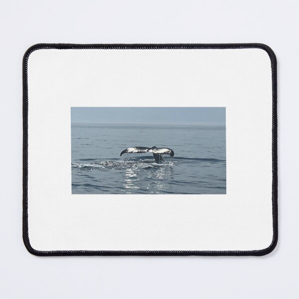 Item preview, Humpback whale designed and sold by bradleyduncan.