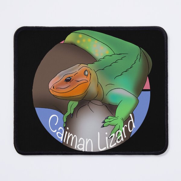 Item preview, Caiman Lizard designed and sold by IronGator.