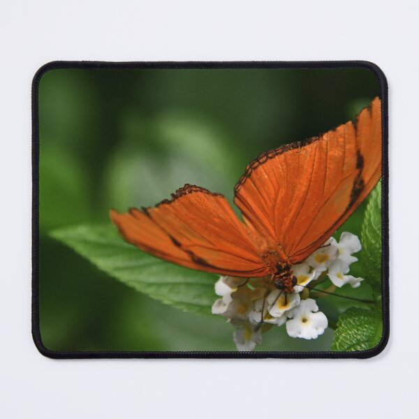 Item preview, Orange Julia butterfly...` designed and sold by Poete100.