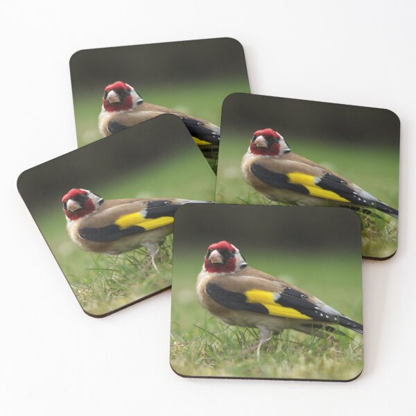 Item preview, Goldfinch designed and sold by rawshutterbug.