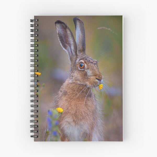 Item preview, European hare eating a flower designed and sold by Wojtek Rygielski.