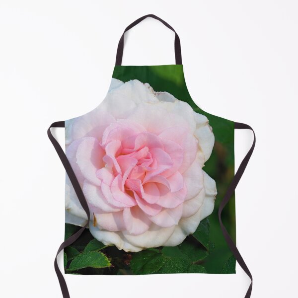 Item preview, Blushing Bremer Stadsmusiker Rose designed and sold by Jouko Lehto Photography.