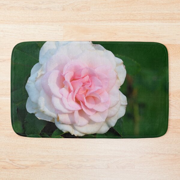 Item preview, Blushing Bremer Stadsmusiker Rose designed and sold by Jouko Lehto Photography.