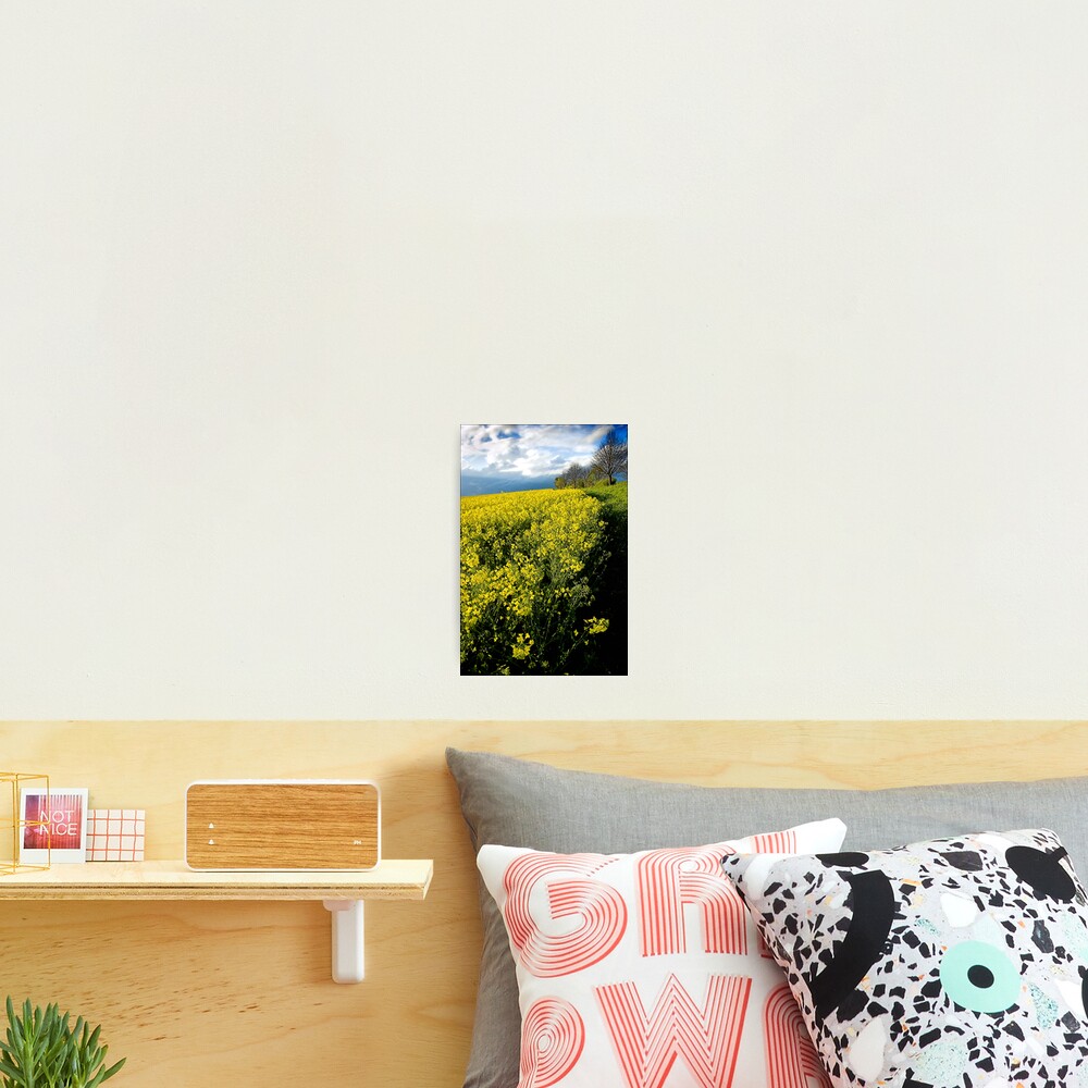 Item preview, Photographic Print designed and sold by SWEEPER.