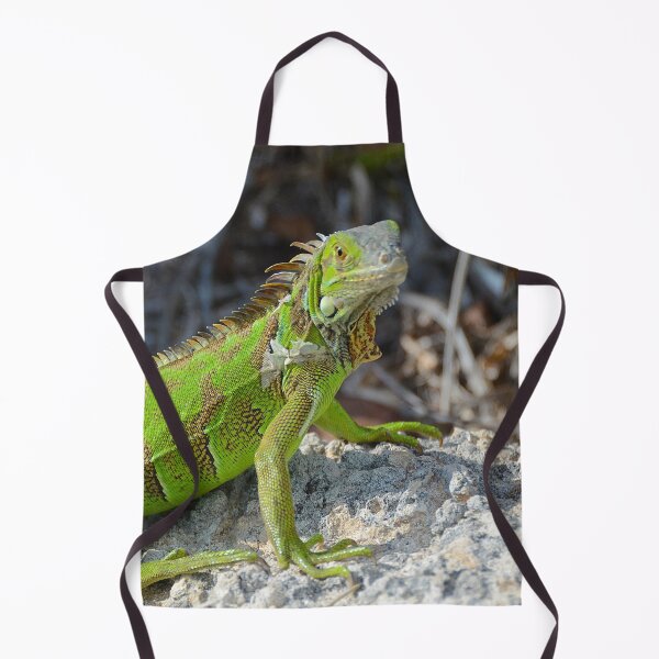 Item preview, Bright green iguana in Key West Florida - WelshDesigns designed and sold by welshdesigns.