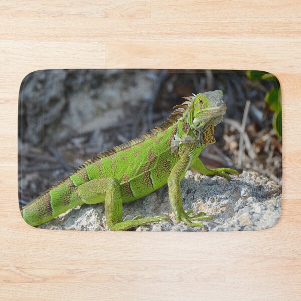 Item preview, Bright green iguana in Key West Florida - WelshDesigns designed and sold by welshdesigns.