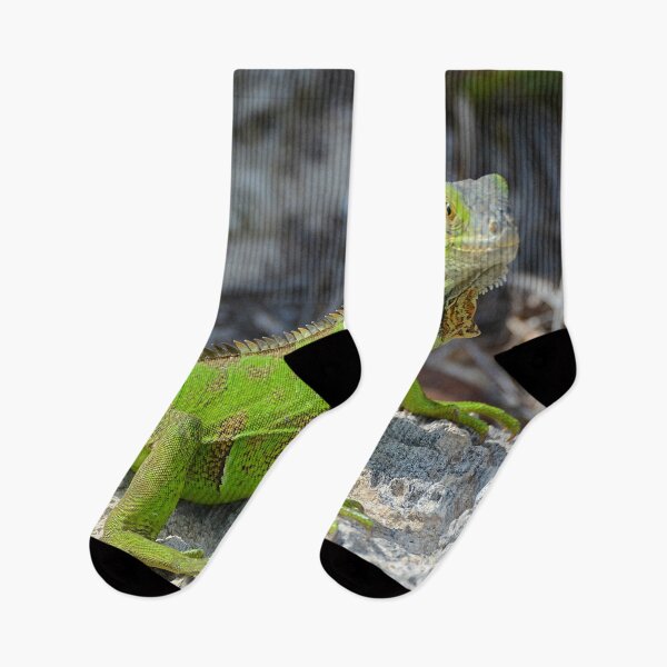 Item preview, Bright green iguana in Key West Florida - WelshDesigns designed and sold by welshdesigns.