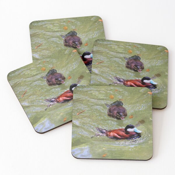 Item preview, Ruddy Ducks designed and sold by Cynthia48.
