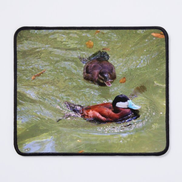 Item preview, Ruddy Ducks designed and sold by Cynthia48.