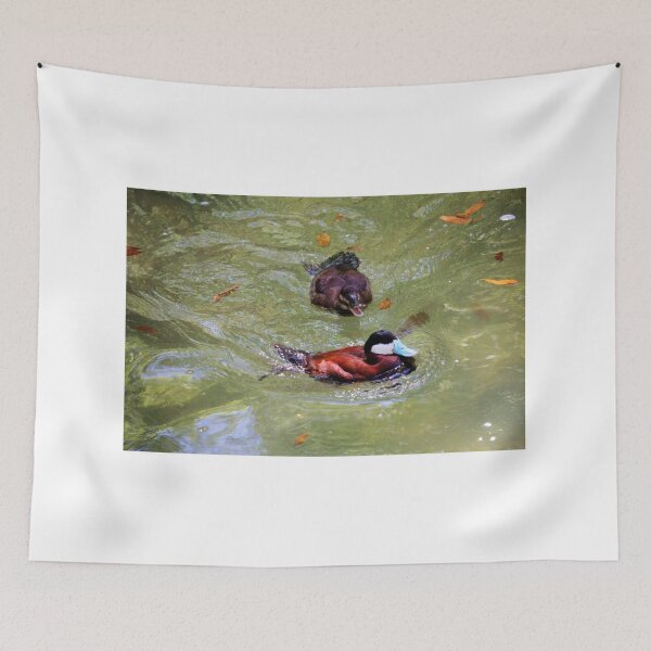 Item preview, Ruddy Ducks designed and sold by Cynthia48.