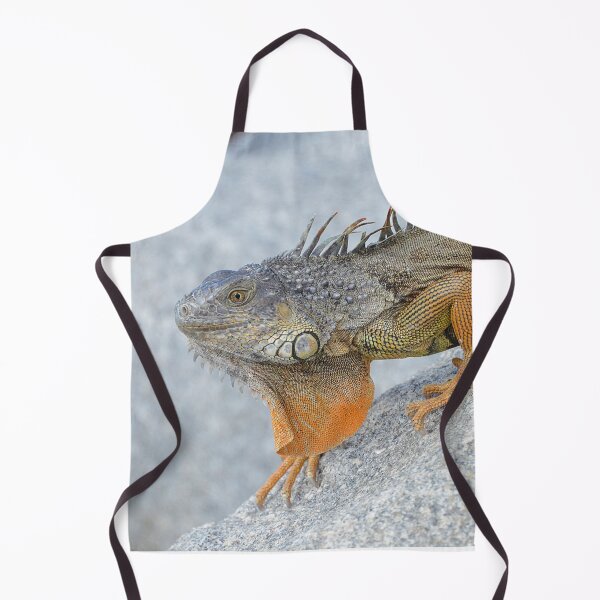 Item preview, Bright orange iguana in Key West Florida - WelshDesigns designed and sold by welshdesigns.