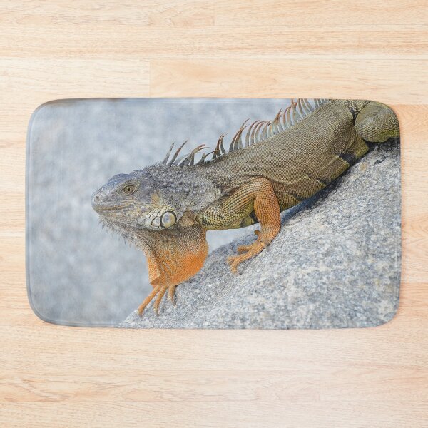 Item preview, Bright orange iguana in Key West Florida - WelshDesigns designed and sold by welshdesigns.
