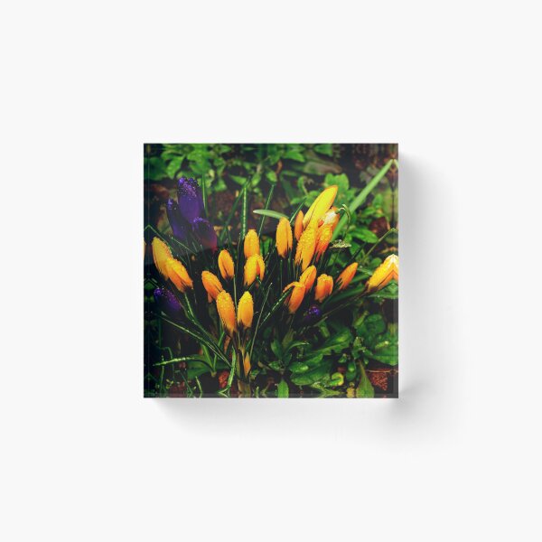 Item preview, Spring flowers after the rain designed and sold by kostolany244.