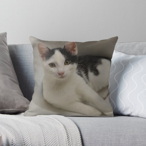 Finally Got A Still Shot......In The Sink! Throw Pillow