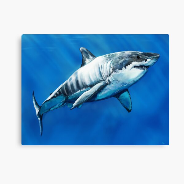 Great White Shark Art - Canvas Poster – Kelly of the Wild