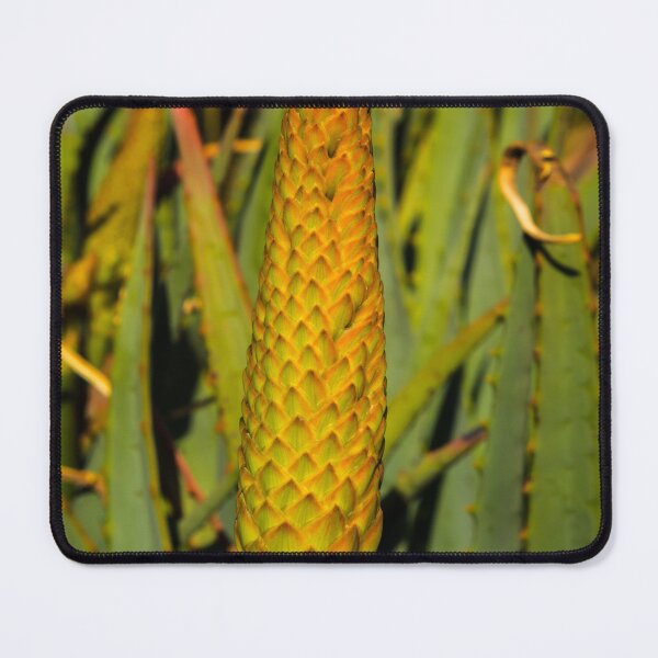 Item preview, Cactus spike designed and sold by Thaddeus Zajdowicz.