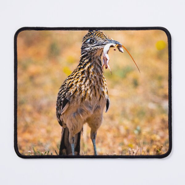 Item preview, Road Runner Dinner Time designed and sold by BowToe.